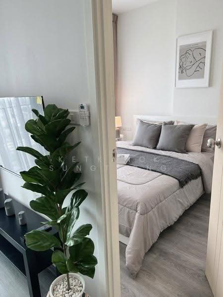 Rich Park @ Triple Station, Bangkok, 591 Srinakarin Road, Suan Luang, Bangkok, 1 Bedroom, 28 sqm, Condo For Sale, by Ketkanok Sungthong, 500566085 - DDproperty.com