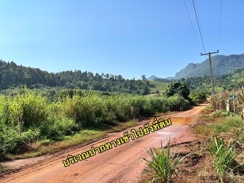 ที่ดินเชียงดาว เชียงใหม่, chiang-mai, Ping Khong, Chiang Dao, Chiang Mai, , 1,824 sqm, Land For Sale, by The Best Property ยุ้ย, 500566149 - DDproperty.com