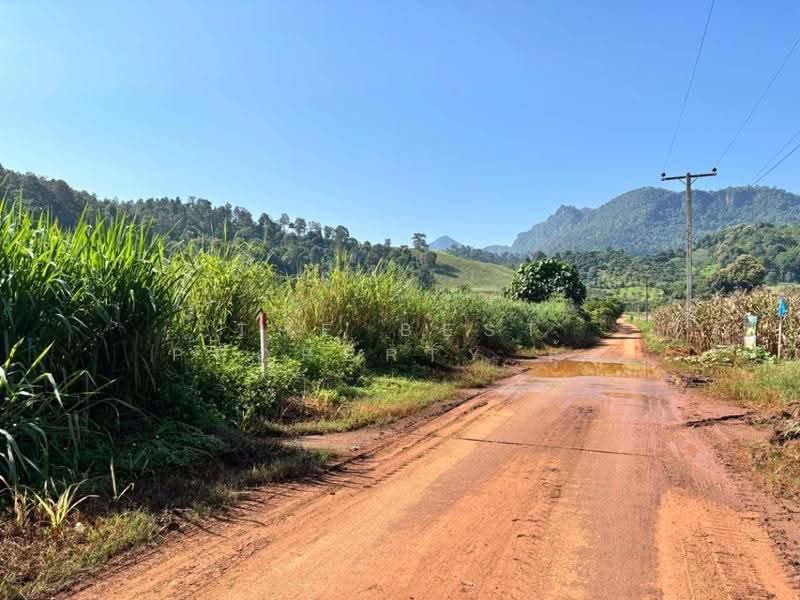 ที่ดินเชียงดาว เชียงใหม่, chiang-mai, Ping Khong, Chiang Dao, Chiang Mai, , 1,824 sqm, Land For Sale, by The Best Property ยุ้ย, 500566149 - DDproperty.com