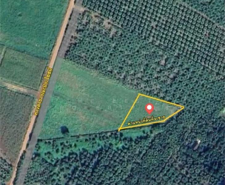 ที่ดินเชียงดาว เชียงใหม่, chiang-mai, Ping Khong, Chiang Dao, Chiang Mai, , 1,824 sqm, Land For Sale, by The Best Property ยุ้ย, 500566149 - DDproperty.com
