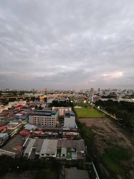 Modiz Vault Kaset-Sripatum, Bangkok, Soi Phahonyothin 49/1, Lat Yao, Chatuchak, Bangkok, Studio, 25 sqm, Condo For Rent, by Natthaya Ninkhwan, 500566171 - DDproperty.com