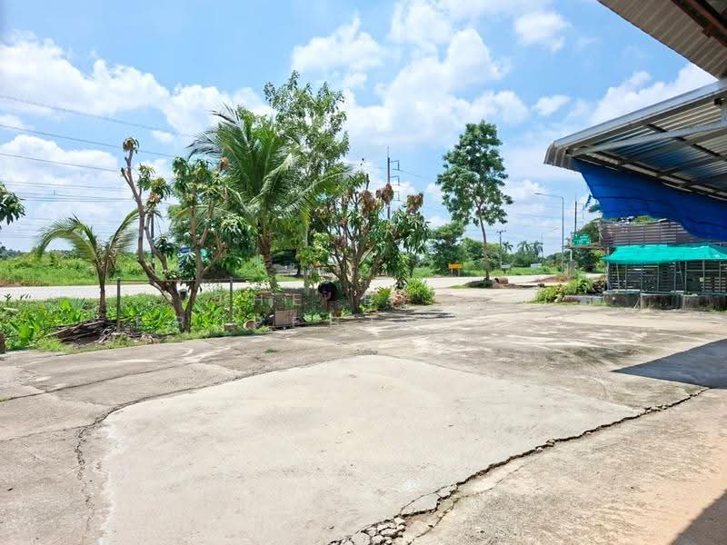 อาคารพาณิชย์พิชัย อุตรดิตถ์, Uttaradit, Kho Rum, Phichai, Uttaradit, , 100 sqm, Shophouse For Sale, by The Best Property แพท, 500566179 - DDproperty.com