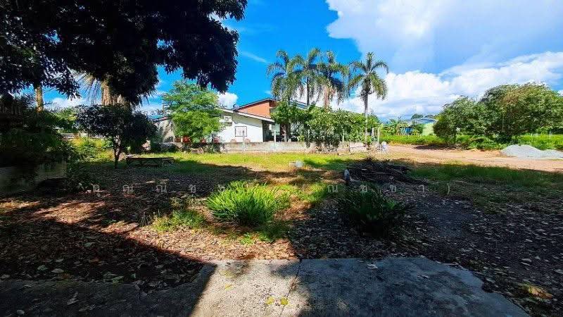 บ้านเดี่ยวเล่นระดับ โครงสร้างดี เหมาะสำหรับรีโนเวท ซ.วัดต้นตาล ฉะเชิงเทรา ถูกที่สุด, ฉะเชิงเทรา, บ้านสร้าง-พนมสารคาม, หนองยาว, พนมสารคาม, ฉะเชิงเทรา, 116 ตร.ม., บ้านเดี่ยว ขาย, โดย คุณณิชชา (ณิชชา), 500566240 - DDproperty.com