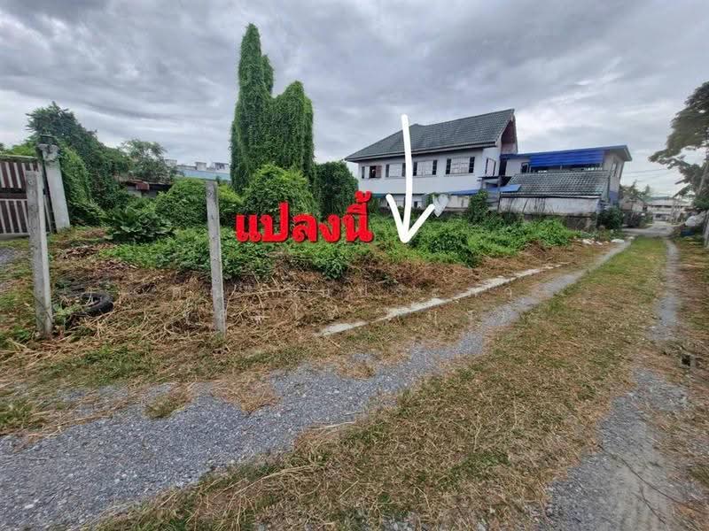 ที่ดินเปล่า 97 ตร.ว. ที่ดิน ใกล้หมู่บ้านพฤกษาวิลล์11 ถนนรัตนาธิเบศร์, Nonthaburi, ถนนรัตนาธิเบศร์, Tha It, Pak Kret, Nonthaburi, , 388 sqm, Land For Sale, by คุณ วันประภา จุสมใจ (กุ้ง), 500566287 - DDproperty.com