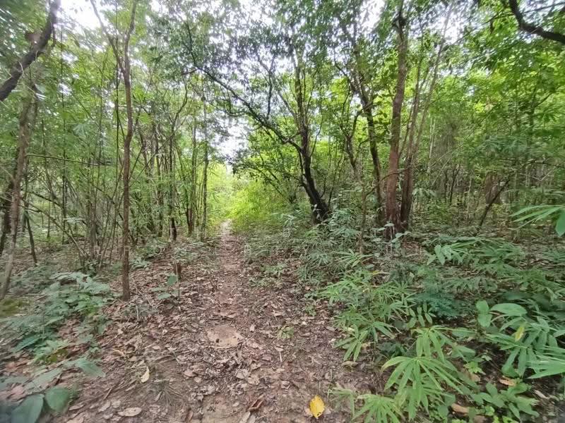 ที่ดินเชียงกลาง น่าน, nan, Puae, Chiang Klang, Nan, , 31,992 sqm, Land For Sale, by The Best Property เปี๊ยก, 500566436 - DDproperty.com
