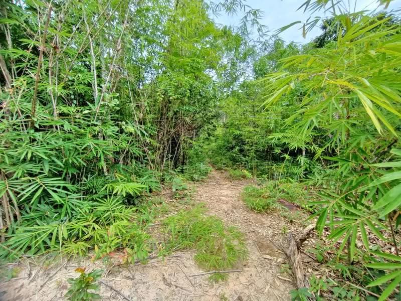 ที่ดินเชียงกลาง น่าน, nan, Puae, Chiang Klang, Nan, , 31,992 sqm, Land For Sale, by The Best Property เปี๊ยก, 500566436 - DDproperty.com