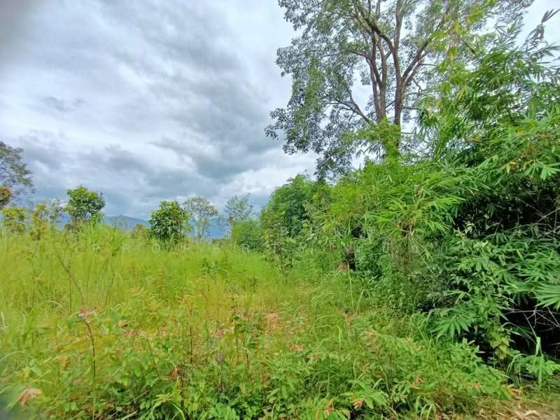 ที่ดินเชียงกลาง น่าน, nan, Puae, Chiang Klang, Nan, , 31,992 sqm, Land For Sale, by The Best Property เปี๊ยก, 500566436 - DDproperty.com
