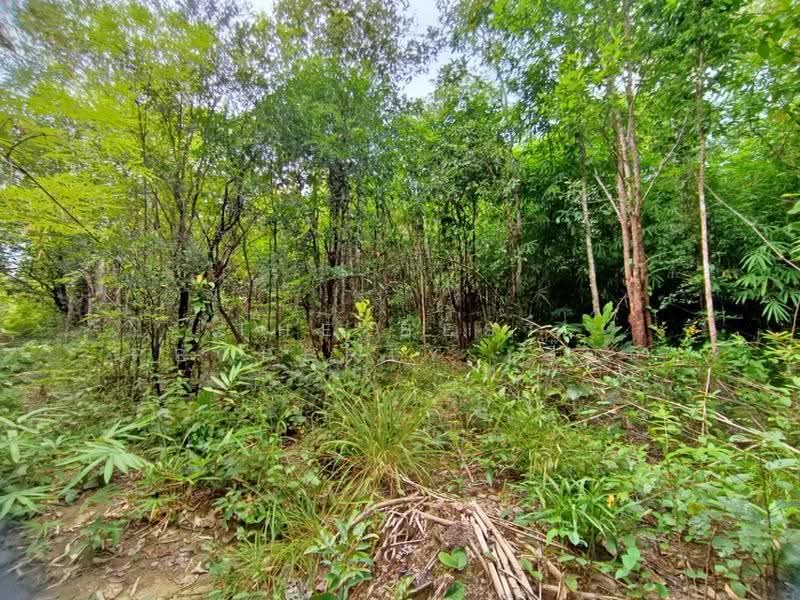 ที่ดินเชียงกลาง น่าน, nan, Puae, Chiang Klang, Nan, , 31,992 sqm, Land For Sale, by The Best Property เปี๊ยก, 500566436 - DDproperty.com