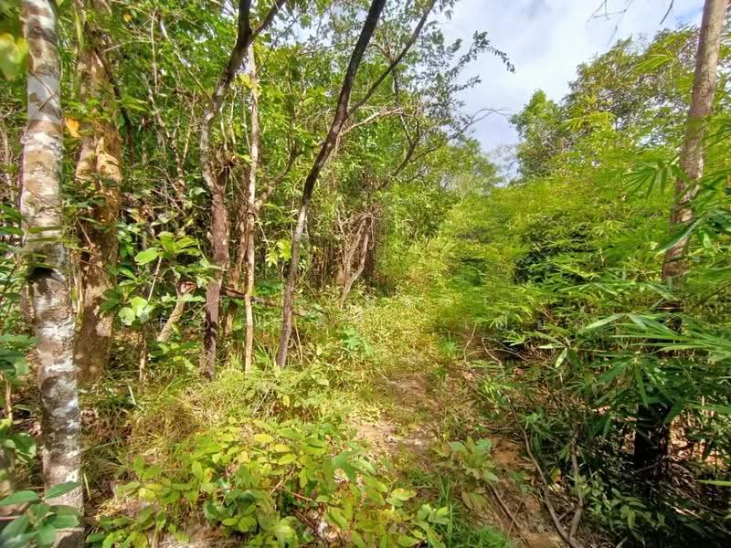 ที่ดินเชียงกลาง น่าน, nan, Puae, Chiang Klang, Nan, , 31,992 sqm, Land For Sale, by The Best Property เปี๊ยก, 500566436 - DDproperty.com