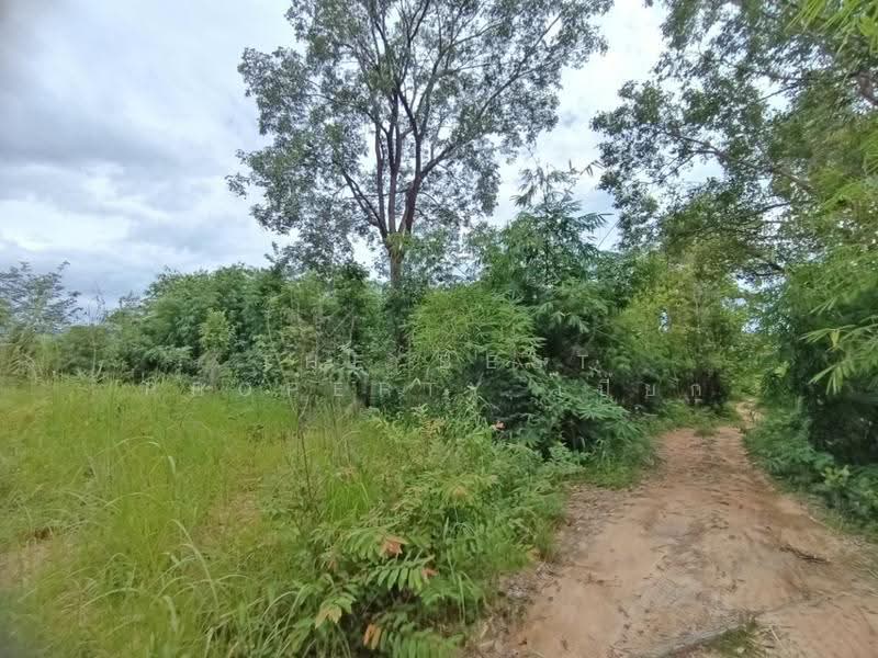 ที่ดินเชียงกลาง น่าน, nan, Puae, Chiang Klang, Nan, , 31,992 sqm, Land For Sale, by The Best Property เปี๊ยก, 500566436 - DDproperty.com