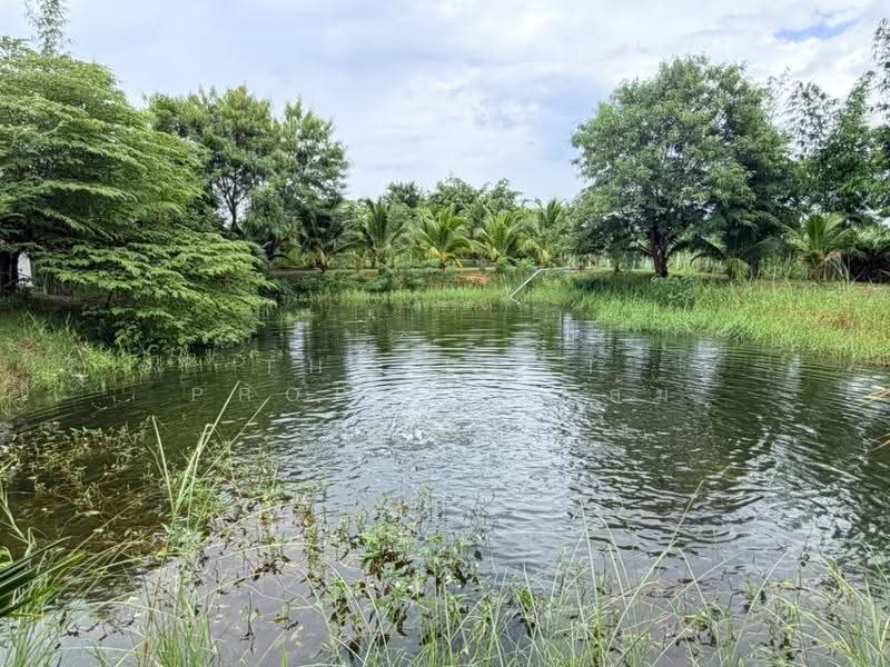 บ้านเดี่ยวพร้อมที่ดินบ้านโป่ง ราชบุรี, Ratchaburi, Khao Khlung, Ban Pong, Ratchaburi, 3 Bedrooms, 100 sqm, Single Detached House For Sale, by The Best Property ส้ม, 500566472 - DDproperty.com