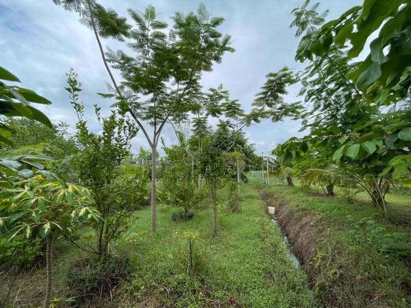 บ้านเดี่ยวพร้อมที่ดินบ้านโป่ง ราชบุรี, Ratchaburi, Khao Khlung, Ban Pong, Ratchaburi, 3 Bedrooms, 100 sqm, Single Detached House For Sale, by The Best Property ส้ม, 500566472 - DDproperty.com