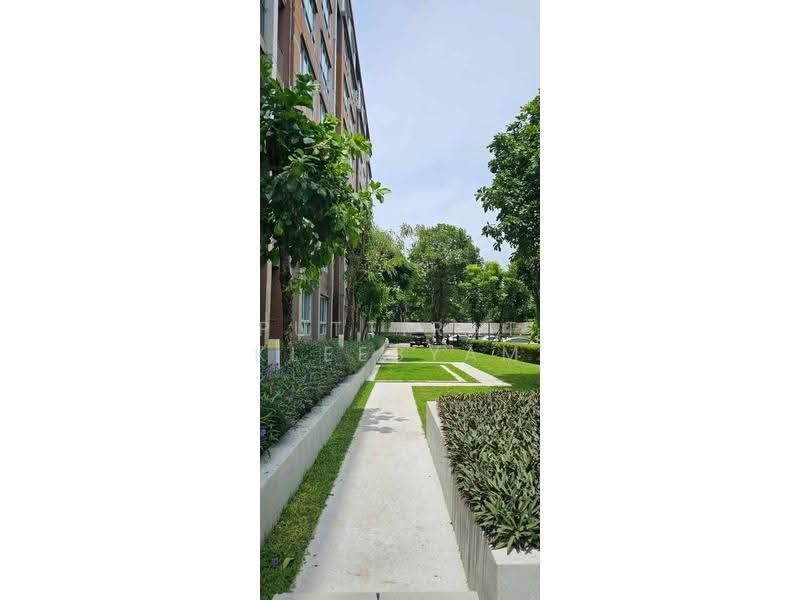 Dcondo Campus Resort Kuku, Phuket, 62 Moo 3, Ratsada, Muang Phuket, Phuket, 2 Bedrooms, 62 sqm, Condo For Sale, by Puttirat Kleebyam, 500566664 - DDproperty.com