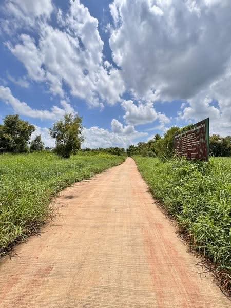 ที่ดินแดงใหญ่ ขอนแก่น, ขอนแก่น, แดงใหญ่, เมืองขอนแก่น, ขอนแก่น, 2,400 ตร.ม., ที่ดิน ขาย, โดย The Best Property ภัทร, 500566669 - DDproperty.com