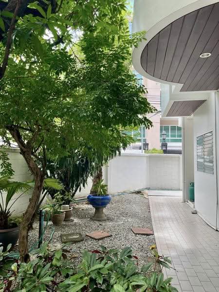 ขายบ้านพร้อมที่ดิน ร่วมฤดี เพลินจิต สุขุมวิท : House for sale, Ruamrudee, Ploenchit, Sukhumvit, กรุงเทพ, ลุมพินี, ปทุมวัน, กรุงเทพ, 523 ตร.ม., บ้านเดี่ยว ขาย, โดย TOAH T., 500566697 - DDproperty.com