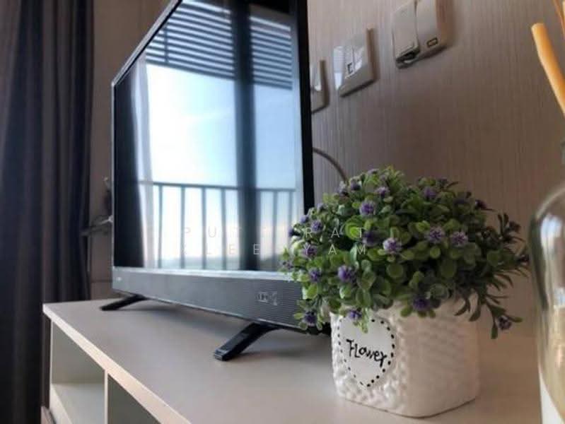 KnightsBridge The Ocean Sriracha, Chon Buri (Pattaya), 3 Sukhumvit, Surasak, Si Racha, Chon Buri (Pattaya), 1 Bedroom, 35 sqm, Condo For Sale, by Puttirat Kleebyam, 500566758 - DDproperty.com