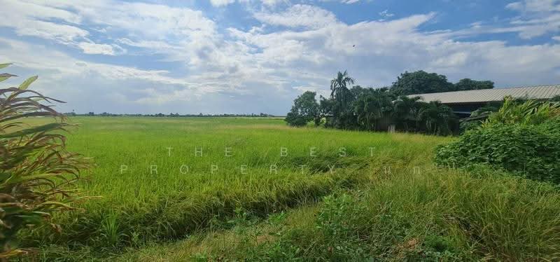ที่ดินบางคล้า ฉะเชิงเทรา, chachoengsao, Bang Khla, Chachoengsao, , 39,940 sqm, Land For Sale, by The Best Property นก, 500566836 - DDproperty.com