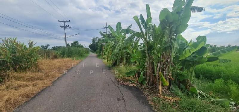 ที่ดินบางคล้า ฉะเชิงเทรา, ฉะเชิงเทรา, บางคล้า, ฉะเชิงเทรา, 39,940 ตร.ม., ที่ดิน ขาย, โดย The Best Property นก, 500566836 - DDproperty.com