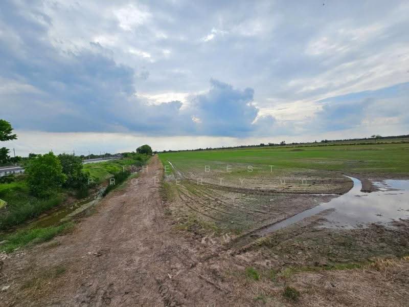 ที่ดินบางคล้า ฉะเชิงเทรา, ฉะเชิงเทรา, บางคล้า, ฉะเชิงเทรา, 39,940 ตร.ม., ที่ดิน ขาย, โดย The Best Property นก, 500566836 - DDproperty.com