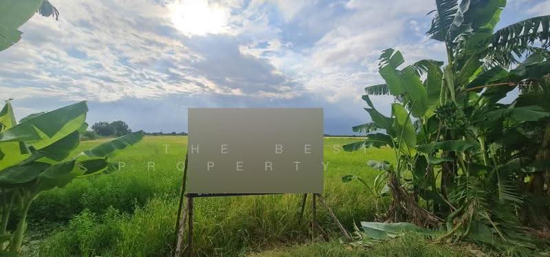 ที่ดินบางคล้า ฉะเชิงเทรา, ฉะเชิงเทรา, บางคล้า, ฉะเชิงเทรา, 39,940 ตร.ม., ที่ดิน ขาย, โดย The Best Property นก, 500566836 - DDproperty.com