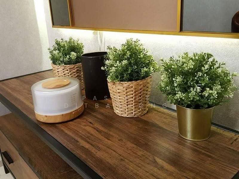 Life Sukhumvit 48, Bangkok, Soi Sukhumvit 48, Phra Kanong, Khlong Toei, Bangkok, 1 Bedroom, 35 sqm, Condo For Rent, by Pasupit Ditbanjong, 500566853 - DDproperty.com