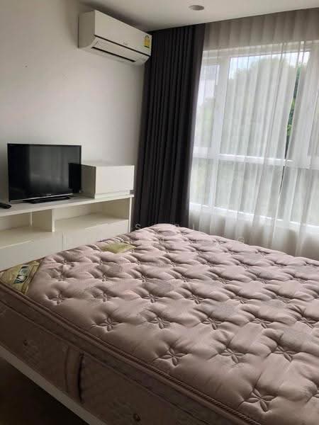 The Avenue Sukumvit 61, Bangkok, Sukhumvit 61, Khlong Tan Nua, Watthana, Bangkok, 1 Bedroom, 165 sqm, Condo For Rent, by Pasupit Ditbanjong, 500567096 - DDproperty.com