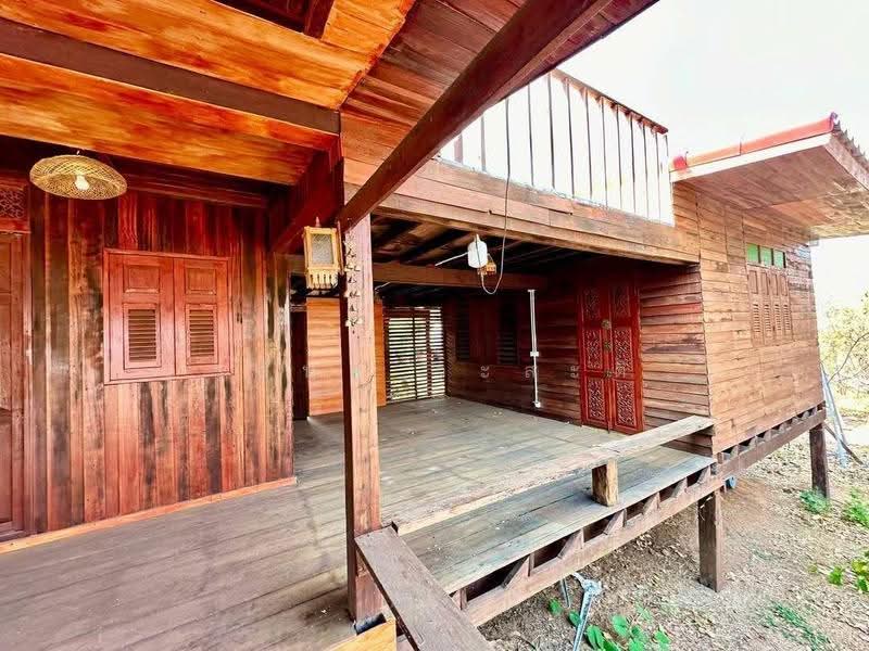 ขายบ้านสวน เขาใหญ่ ปากช่อง พื้นที่รวม 5 ไร่ 72 ตร.ว ( 5.5 ล้าน), Nakhon Ratchasima, 2235, Wang Zai, Pak Chong, Nakhon Ratchasima, , 8,288 sqm, Land For Sale, by Wasan Wasati, 500567225 - DDproperty.com