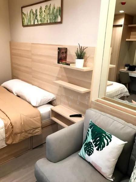 Life Sukhumvit 62, Bangkok, Soi Sukhumvit 62, Bang Chak, Phra Khanong, Bangkok, 1 Bedroom, 25 sqm, Condo For Rent, by Connex Property, 500567312 - DDproperty.com