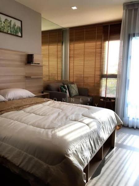 Life Sukhumvit 62 : ไลฟ์ สุขุมวิท 62, กรุงเทพ, ซอยสุขุมวิท 62, บางจาก, พระโขนง, กรุงเทพ, 25 ตร.ม., คอนโด ให้เช่า, โดย Connex Property, 500567312 - DDproperty.com