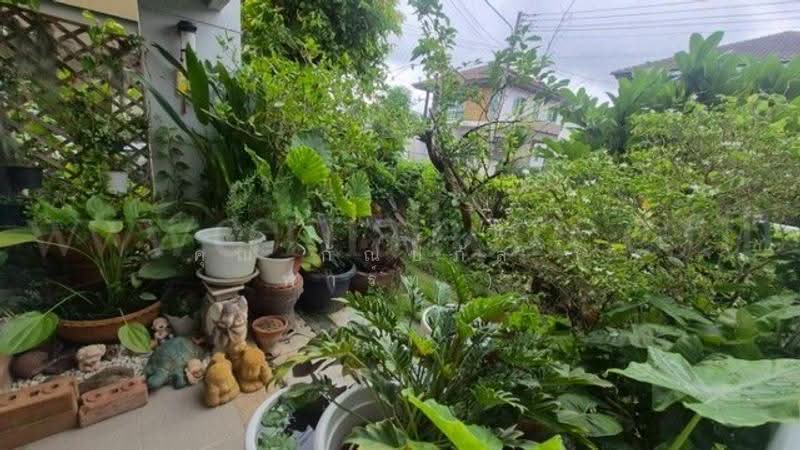 Inizio Maliwan Road, Khon Kaen, Ban Thum, Muang Khon Kaen, Khon Kaen, 3 Bedrooms, 129 sqm, Single Detached House For Sale, by คุณ กัณปภัส ( พาร์ท ), 500567415 - DDproperty.com