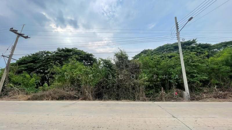 ที่ดินสามโคก ปทุมธานี, ปทุมธานี, เชียงรากใหญ่, สามโคก, ปทุมธานี, 5,871 ตร.ม., ที่ดิน ขาย, โดย Vimon Boodpha, 500567443 - DDproperty.com