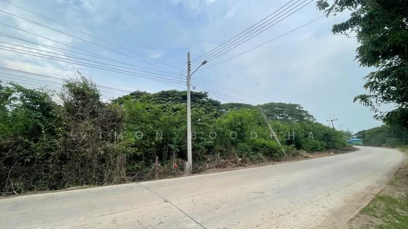 ที่ดินสามโคก ปทุมธานี, Pathum Thani, Chiang Rak Yai, Sam Khok, Pathum Thani, , 5,871 sqm, Land For Sale, by Vimon Boodpha, 500567443 - DDproperty.com