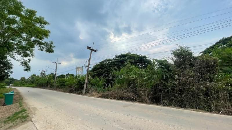 ที่ดินสามโคก ปทุมธานี, Pathum Thani, Chiang Rak Yai, Sam Khok, Pathum Thani, , 5,871 sqm, Land For Sale, by Vimon Boodpha, 500567443 - DDproperty.com