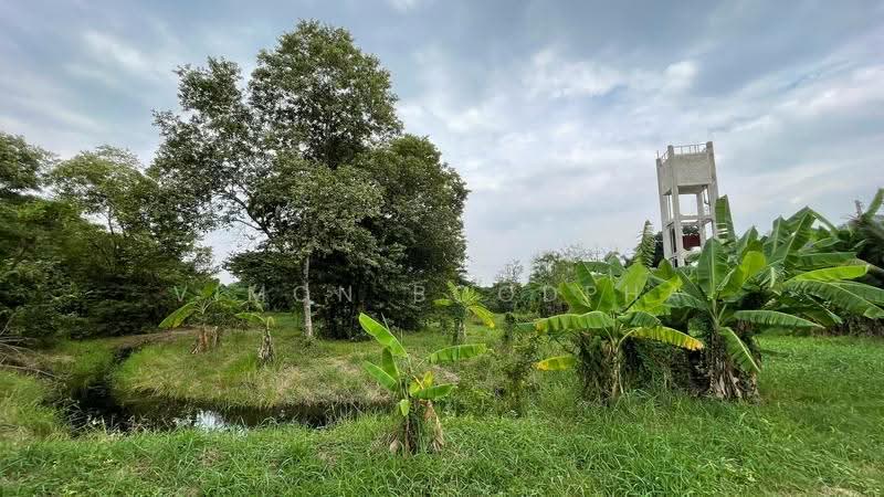 ที่ดินสามโคก ปทุมธานี, Pathum Thani, Chiang Rak Yai, Sam Khok, Pathum Thani, , 5,871 sqm, Land For Sale, by Vimon Boodpha, 500567443 - DDproperty.com