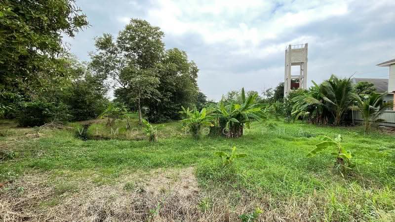 ที่ดินสามโคก ปทุมธานี, Pathum Thani, Chiang Rak Yai, Sam Khok, Pathum Thani, , 5,871 sqm, Land For Sale, by Vimon Boodpha, 500567443 - DDproperty.com