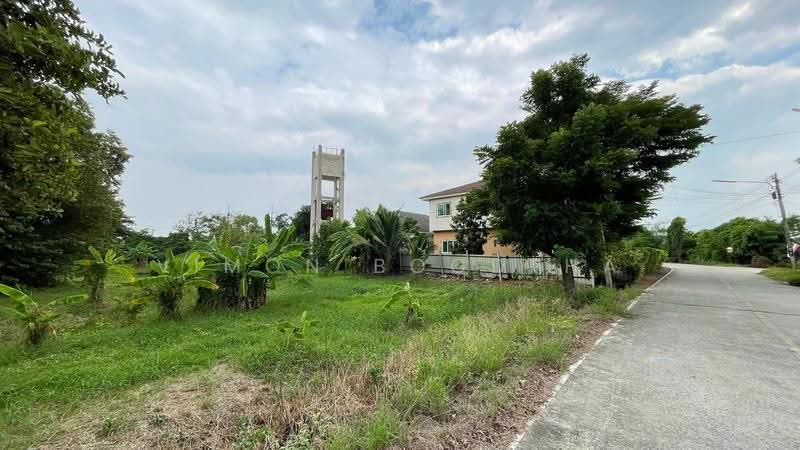 ที่ดินสามโคก ปทุมธานี, Pathum Thani, Chiang Rak Yai, Sam Khok, Pathum Thani, , 5,871 sqm, Land For Sale, by Vimon Boodpha, 500567443 - DDproperty.com
