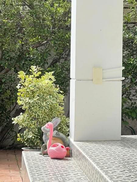 Perfect Place Sukhumvit 77-Suvarnabhumi, Samut Prakan, Lat Krabang Road, Rachathewa, Bang Plee, Samut Prakan, 3 Bedrooms, 200 sqm, Single Detached House For Rent, by Rapeephan, 500567590 - DDproperty.com