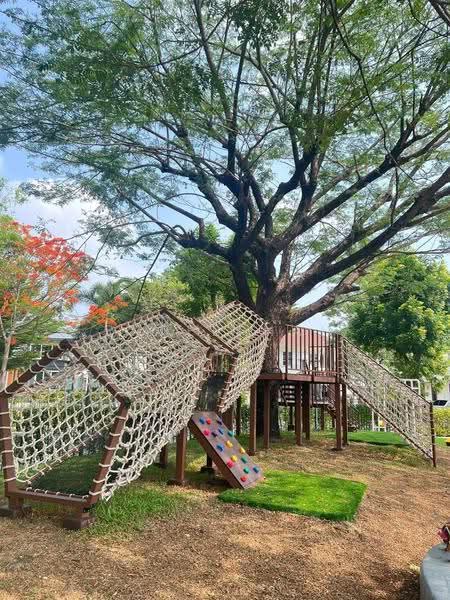 Perfect Place Sukhumvit 77-Suvarnabhumi, Samut Prakan, Lat Krabang Road, Rachathewa, Bang Plee, Samut Prakan, 3 Bedrooms, 200 sqm, Single Detached House For Rent, by Rapeephan, 500567590 - DDproperty.com