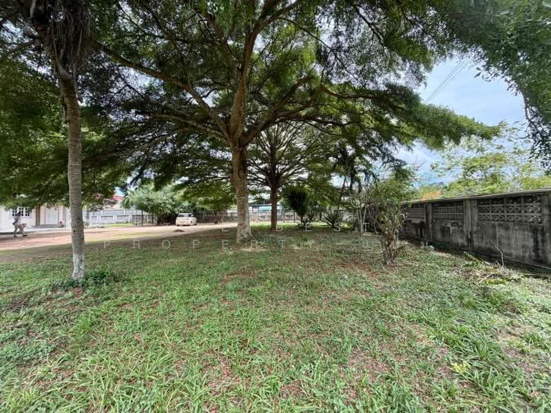บ้านเดี่ยวพร้อมที่ดินบางละมุง ชลบุรี, Chon Buri (Pattaya), Huai Yai, Bang Lamung (Pattaya), Chon Buri (Pattaya), 2 Bedrooms, 70 sqm, Single Detached House For Sale, by The Best Property แป๋ม, 500567660 - DDproperty.com