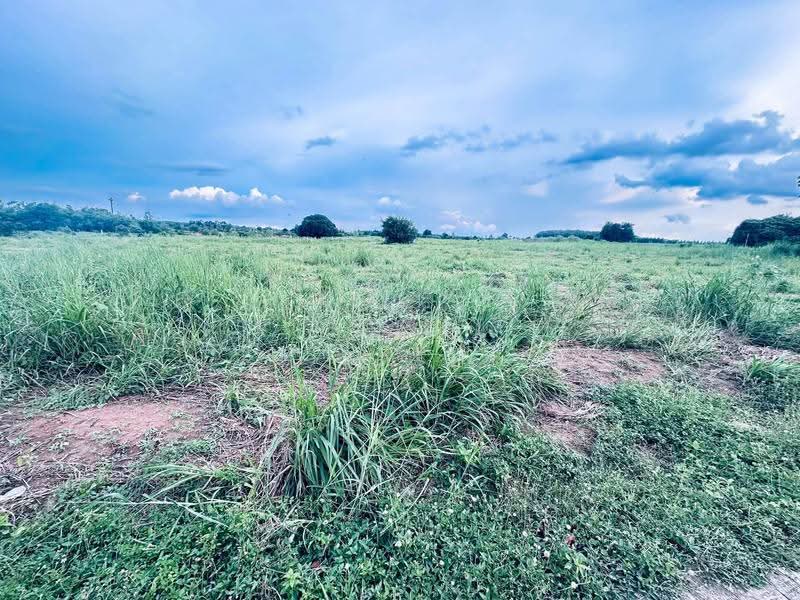 Land for sale in Nong Hiang, Phanat Nikhom District: 29 rai, adjacent to a concrete road, Chon Buri (Pattaya), Nong Hiang, Phanat Nikhom, Chon Buri (Pattaya), , 46,672 sqm, Land For Sale, by RICHWELL INTERPLUS, 500567904 - DDproperty.com