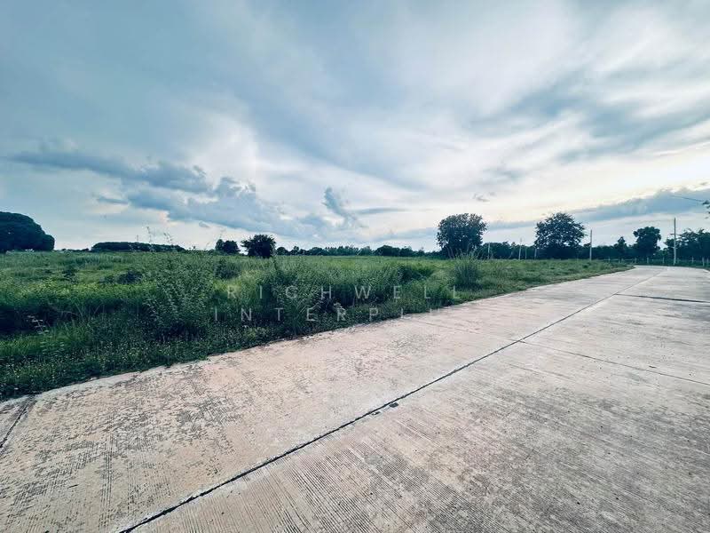 Land for sale in Nong Hiang, Phanat Nikhom District: 29 rai, adjacent to a concrete road, Chon Buri (Pattaya), Nong Hiang, Phanat Nikhom, Chon Buri (Pattaya), , 46,672 sqm, Land For Sale, by RICHWELL INTERPLUS, 500567904 - DDproperty.com