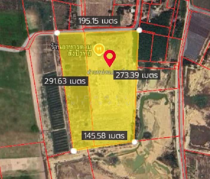 Land for sale in Nong Hiang, Phanat Nikhom District: 29 rai, adjacent to a concrete road, Chon Buri (Pattaya), Nong Hiang, Phanat Nikhom, Chon Buri (Pattaya), , 46,672 sqm, Land For Sale, by RICHWELL INTERPLUS, 500567904 - DDproperty.com