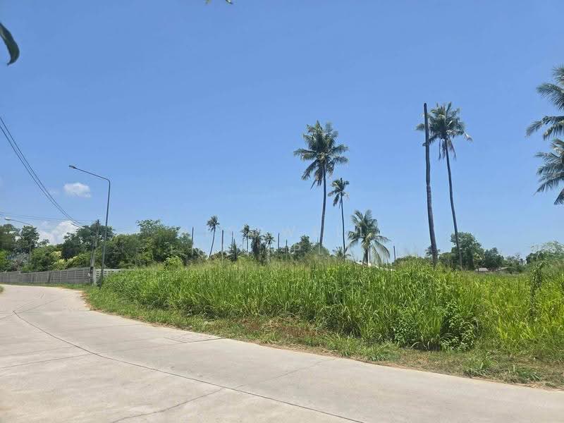 Land for sale in a prime location in Nong Khang Khok, 241 sq. wah,, Chon Buri (Pattaya), Nong Khang Khok, Muang Chon Buri, Chon Buri (Pattaya), , 966 sqm, Land For Sale, by RICHWELL INTERPLUS, 500568032 - DDproperty.com