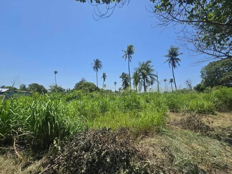 Land for sale in a prime location in Nong Khang Khok, 241 sq. wah,, Chon Buri (Pattaya), Nong Khang Khok, Muang Chon Buri, Chon Buri (Pattaya), , 966 sqm, Land For Sale, by RICHWELL INTERPLUS, 500568032 - DDproperty.com