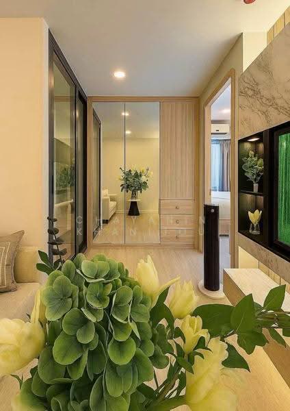 Aspire Onnut Station, Bangkok, Sukhumvit Road, Phra Kanong, Khlong Toei, Bangkok, 1 Bedroom, 27 sqm, Condo For Rent, by Chayanin Khanijou, 500568078 - DDproperty.com