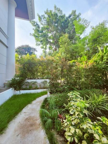 คฤหาสน์ สุขุมวิท 64, Bangkok, Bang Chak, Phra Khanong, Bangkok, 6 Bedrooms, 2,000 sqm, Single Detached House For Rent, by Vasawat Sudvaja, 500568088 - DDproperty.com