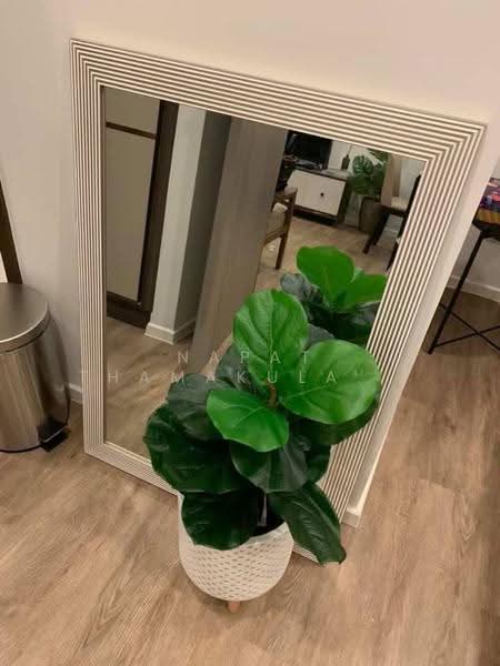 The Nest Sukhumvit 64, Bangkok, 408 Soi Sukhumvit 64, Bang Chak, Phra Khanong, Bangkok, 1 Bedroom, 30 sqm, Condo For Sale, by Napat Thamakulangkul, 500568195 - DDproperty.com