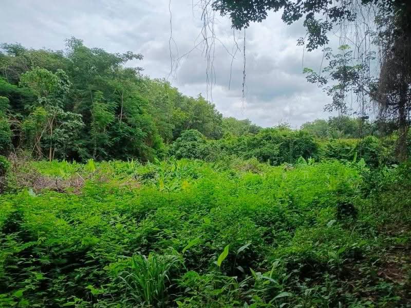 ที่ดิน 231.3 ตร.ว. เขตเมืองสุราษฎร์ฯ | วัดประดู่ | โฉนดพร้อม | พัฒนาได้หลายรูปแบบ, สุราษฎร์ธานี, วัดประดู่, เมืองสุราษฎร์ธานี, สุราษฎร์ธานี, 925 ตร.ม., ที่ดิน ขาย, โดย ชญาพิชชา พันธกิจ, 500568358 - DDproperty.com