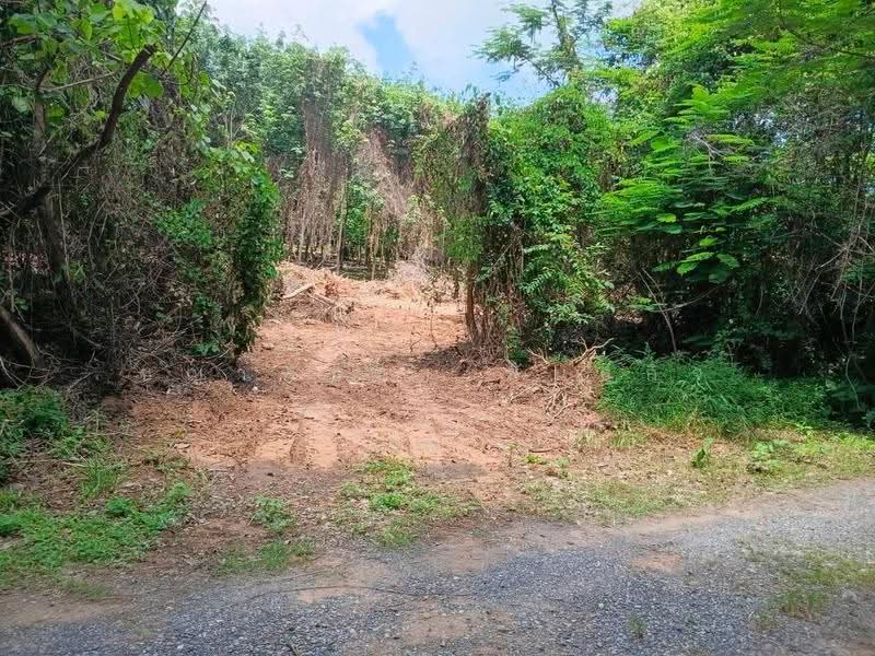 ที่ดิน 231.3 ตร.ว. เขตเมืองสุราษฎร์ฯ | วัดประดู่ | โฉนดพร้อม | พัฒนาได้หลายรูปแบบ, สุราษฎร์ธานี, วัดประดู่, เมืองสุราษฎร์ธานี, สุราษฎร์ธานี, 925 ตร.ม., ที่ดิน ขาย, โดย ชญาพิชชา พันธกิจ, 500568358 - DDproperty.com
