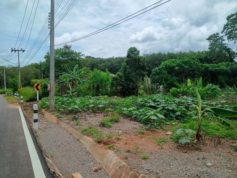 ที่ดิน 231.3 ตร.ว. เขตเมืองสุราษฎร์ฯ | วัดประดู่ | โฉนดพร้อม | พัฒนาได้หลายรูปแบบ, Surat Thani, Wat Pradu, Muang Surat Thani, Surat Thani, , 925 sqm, Land For Sale, by ชญาพิชชา พันธกิจ, 500568358 - DDproperty.com